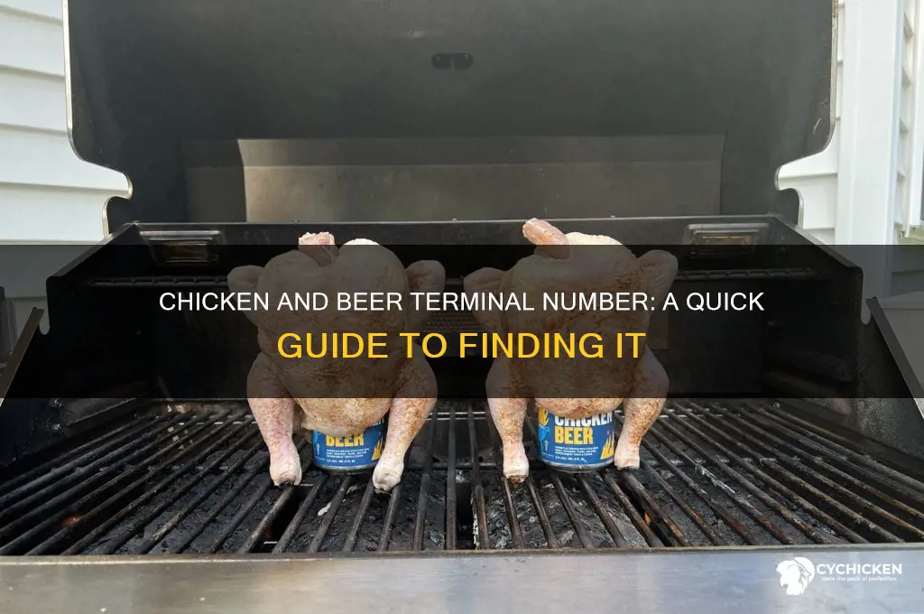 what terminal is chicken and beer number