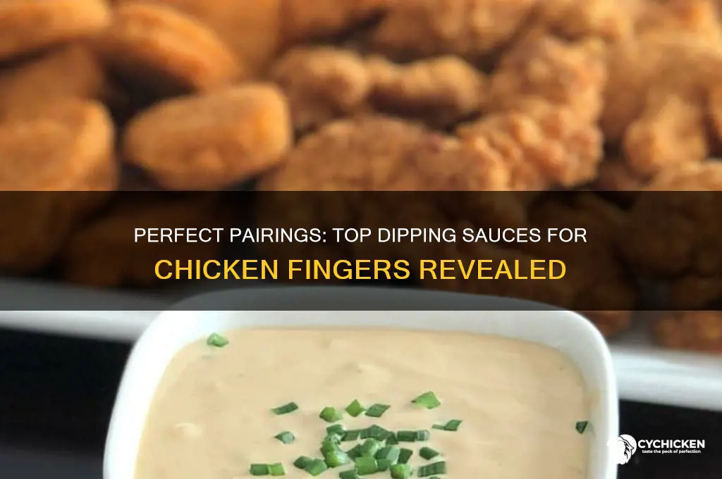 what the best dipping sauce for chicken fungers