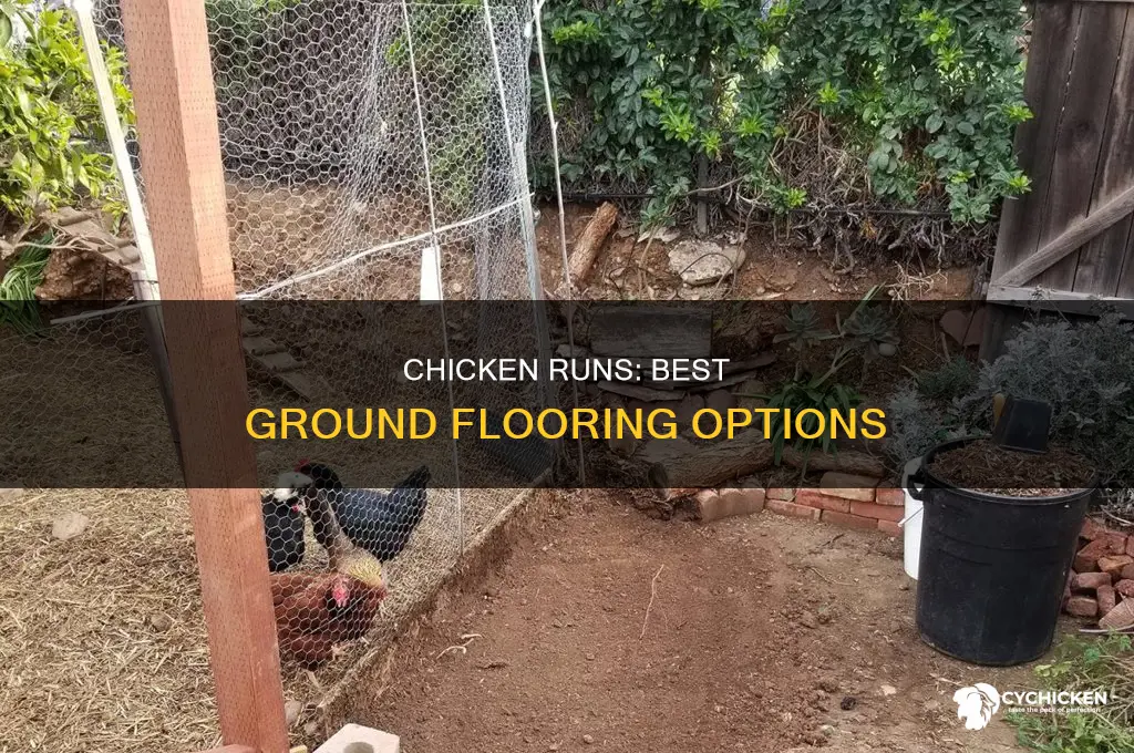 what the best ground floor for a chicken run