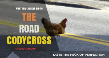 Why Did the Chicken Cross the Road? CodyCross Puzzle Solved