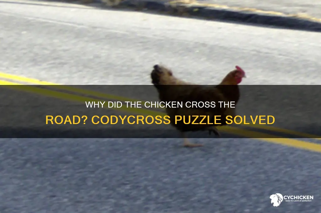 what the chicken did to the road codycross
