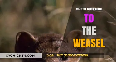What the Chicken Said to the Weasel: A Tale of Wit and Wisdom