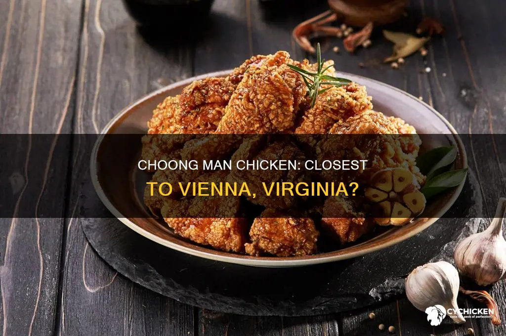 what the closest choong man chicken to vienna virginia