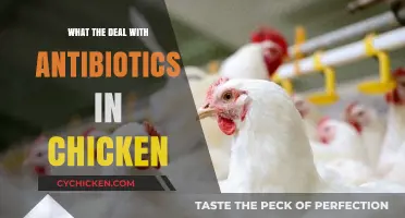 Antibiotics in Chicken: Uncovering the Truth Behind the Controversy