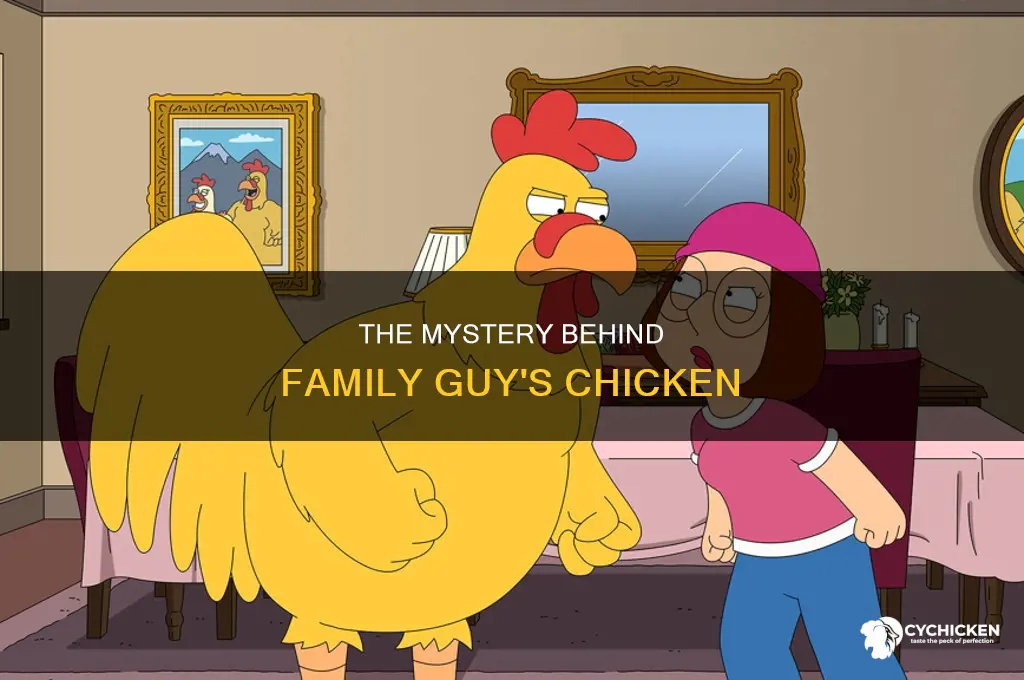 what the deal with the chicken on family guy