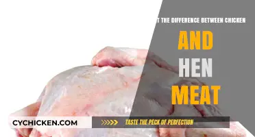 Chicken vs. Hen Meat: Understanding the Key Differences and Uses