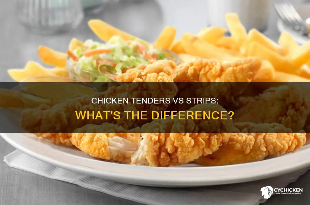 what the difference between chicken tenders and chicken strips