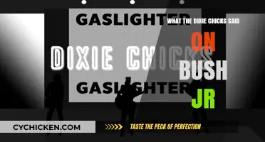 Dixie Chicks' Bold Criticism of Bush Jr.: The Impactful Statement