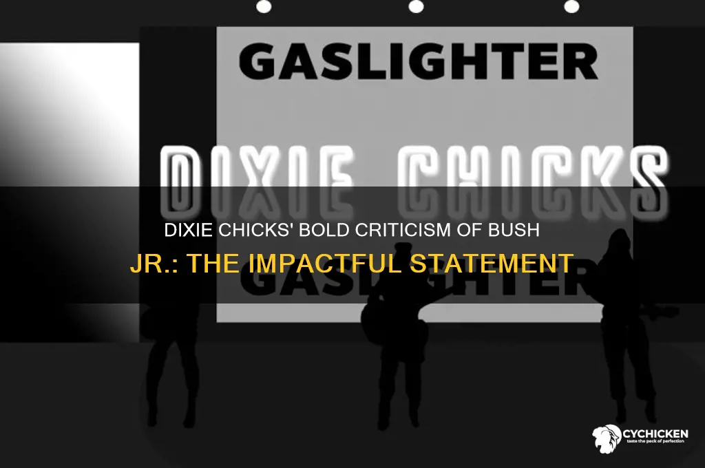 what the dixie chicks said on bush jr