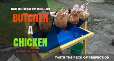 The Quickest, Most Humane Way to Butcher a Chicken