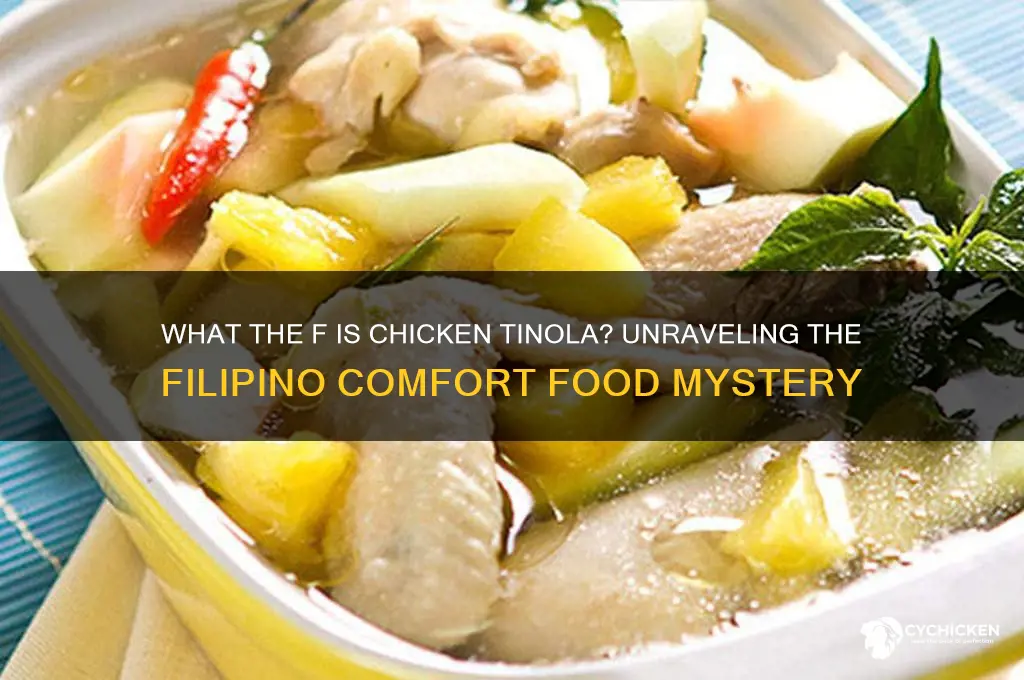 what the f is a chicken tinola