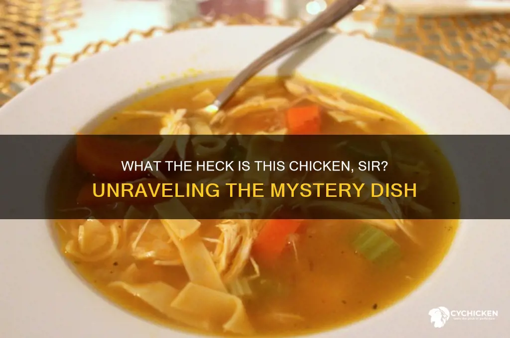 what the heck is this chicken sir