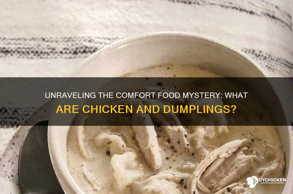what the hell are chicken and dumplings