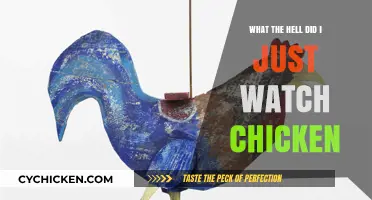 What the Hell Did I Just Watch? Decoding the Chicken Chaos