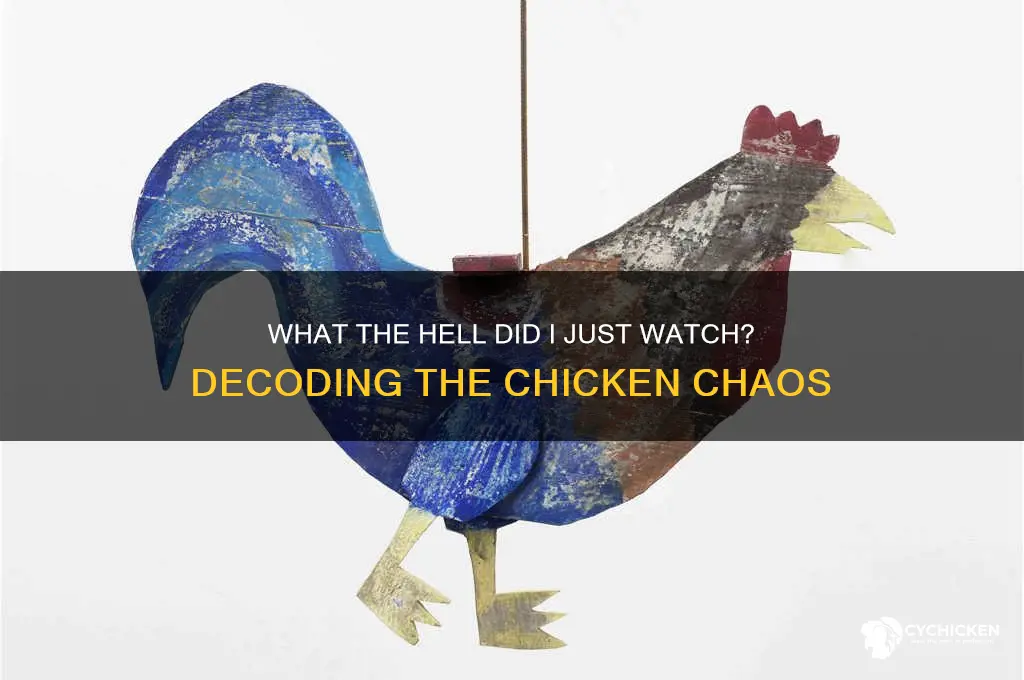 what the hell did i just watch chicken