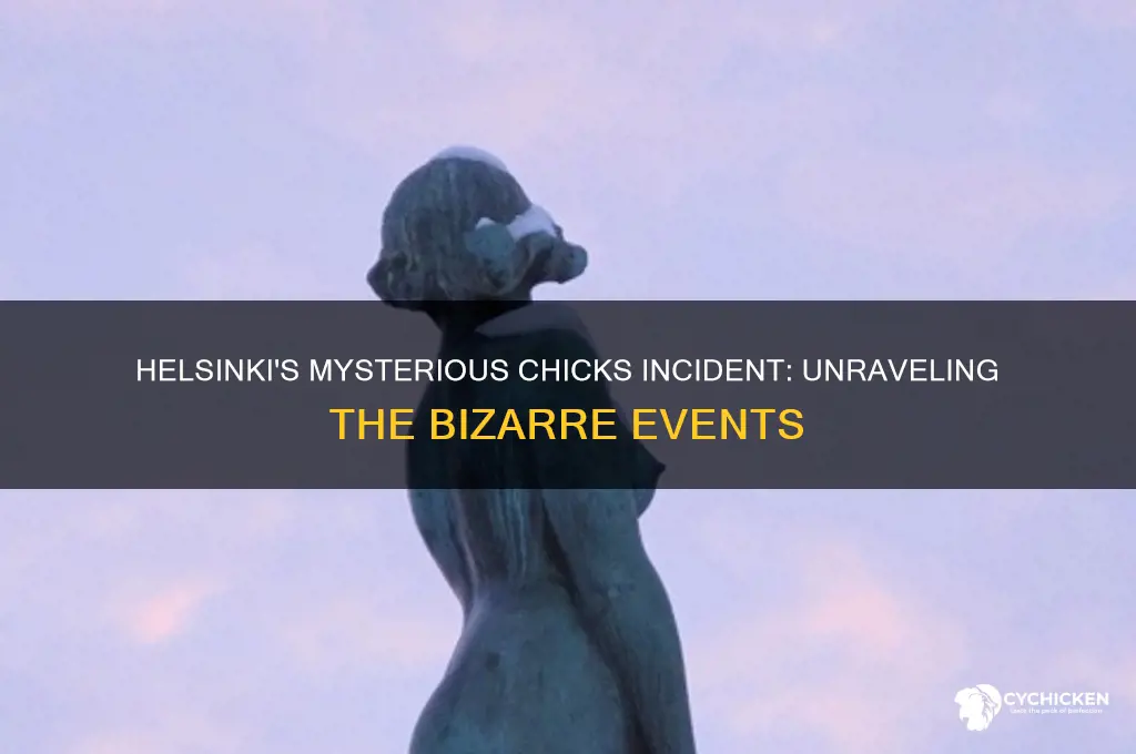 what the hell happened in helsinki the chicks