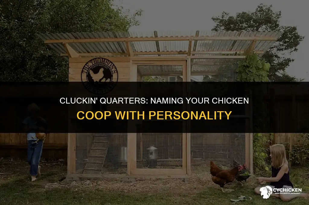 what the name of your chicken coop