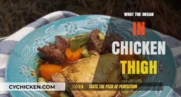 Unveiling the Mystery: What's the Organ in Chicken Thighs?