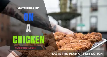 Understanding the Red Crest on Chickens: Purpose, Health, and Care Tips