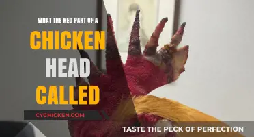 The Red Crown of a Chicken's Glory
