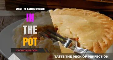Unraveling the Mystery: What Does 'Chicken in the Pot' Really Mean?