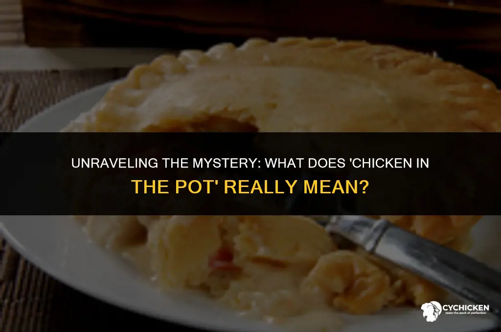 what the saying chicken in the pot