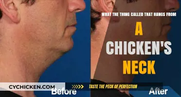 The Chicken's Neck: What's That Thing?
