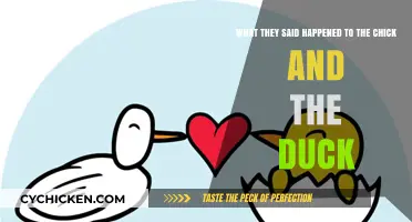 Chick and Duck: What Really Happened?