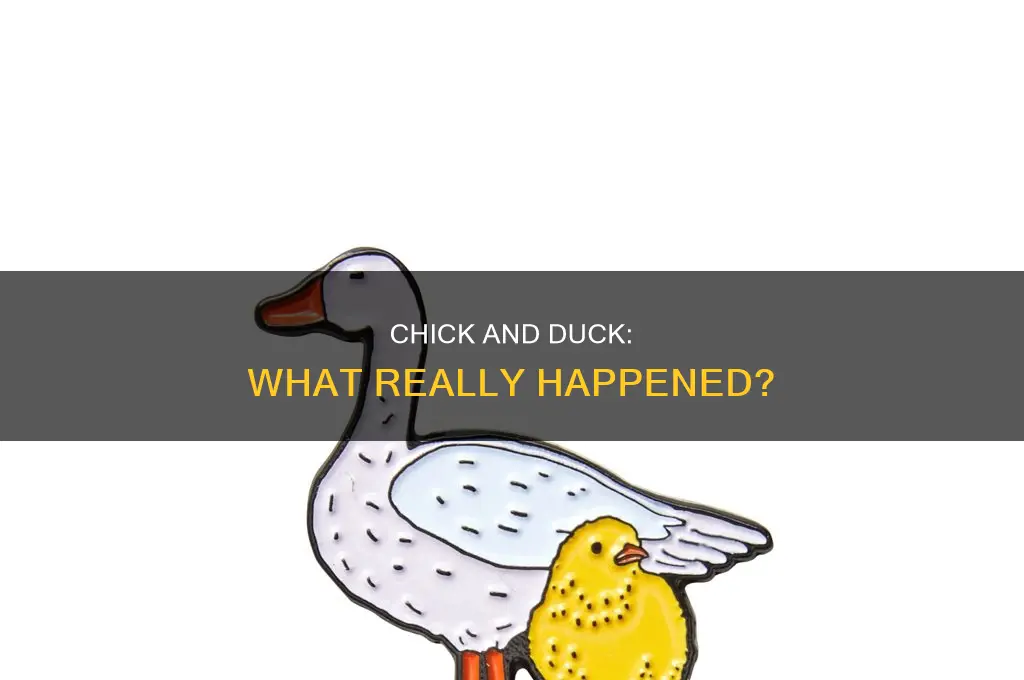 what they said happened to the chick and the duck