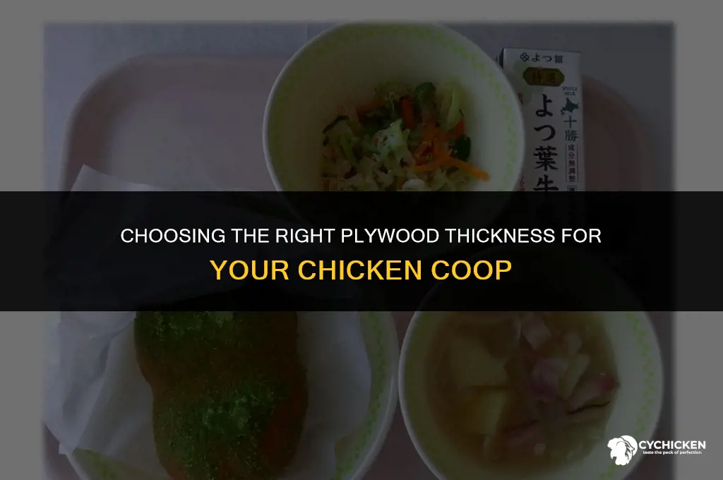 what thickness plywood for chicken coop
