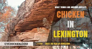 Joella's Chicken Neighbors: Lexington Attractions