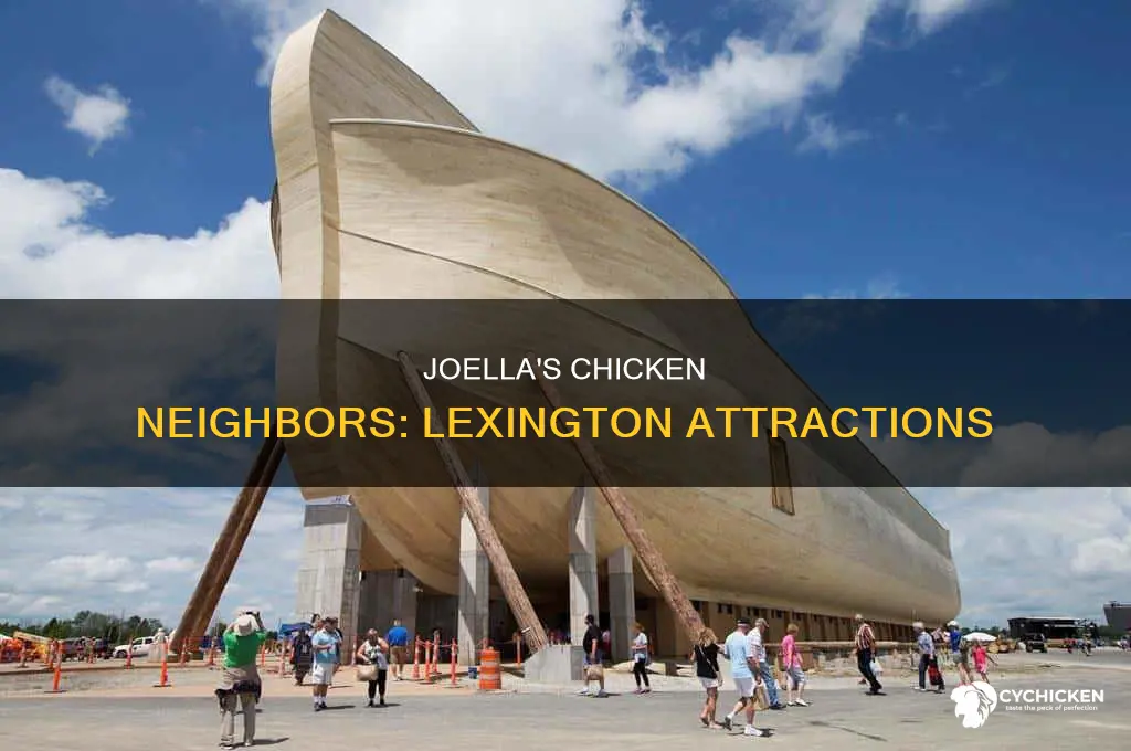 what things are around joella