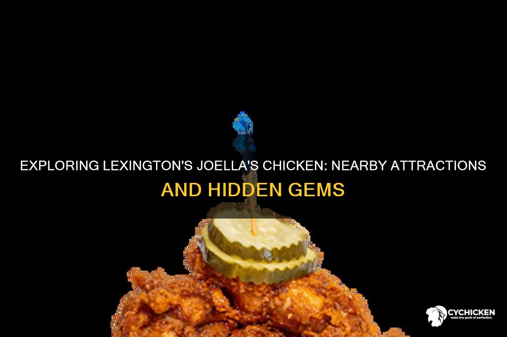 what things are around joellas chicken in lexington