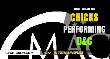 Chicks Performing D&C: Show Time and Schedule Details
