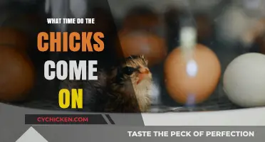When Do the Chicks Arrive? Timing and Hatching Insights