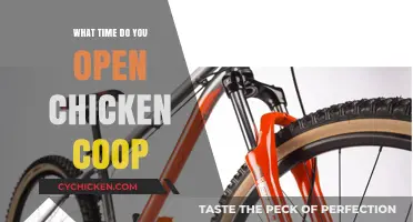 Morning Clucks: The Ideal Time to Open Your Chicken Coop