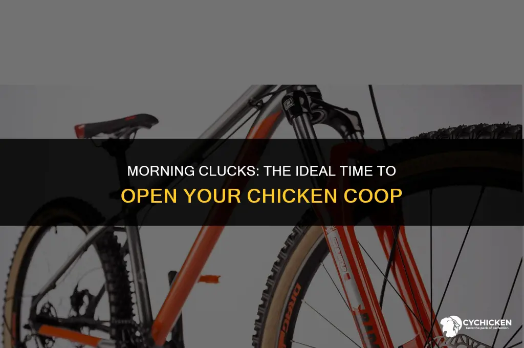 what time do you open chicken coop