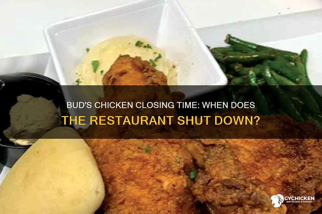 what time does bud