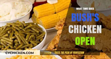 Bush's Chicken Opening Hours: When Does the Restaurant Start Serving?