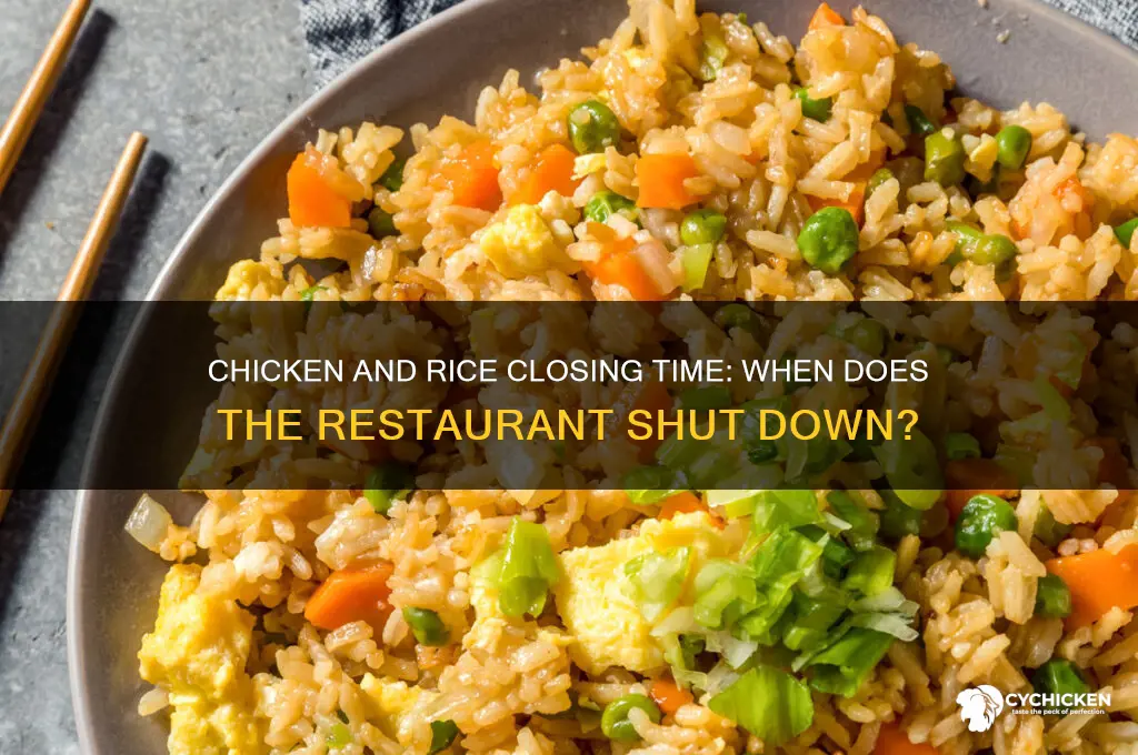 what time does chicken and rice close