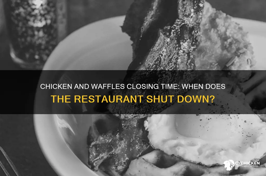 what time does chicken and waffles close