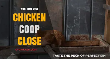 When Do Chicken Coops Close: A Guide to Poultry Bedtime