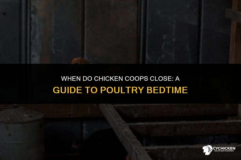what time does chicken coop close