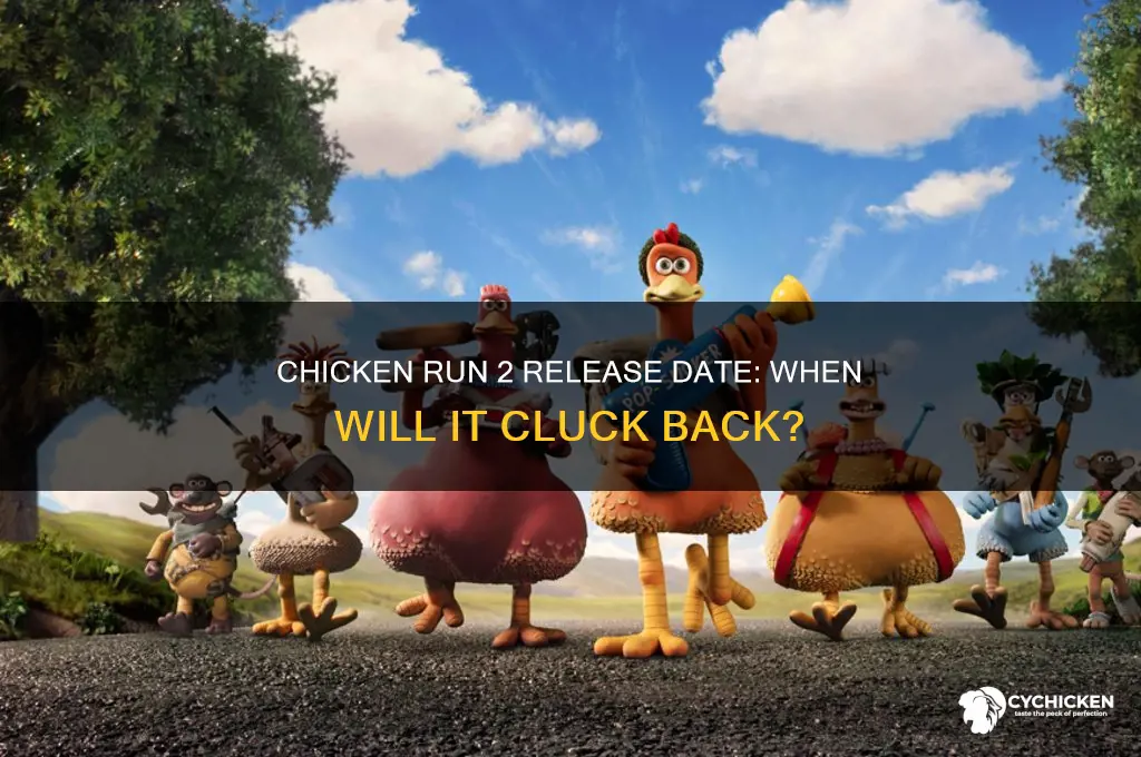 what time does chicken run 2 come out
