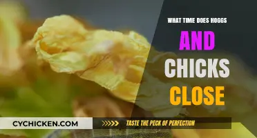 Hoggs and Chicks Closing Time: When Do They Shut Down?