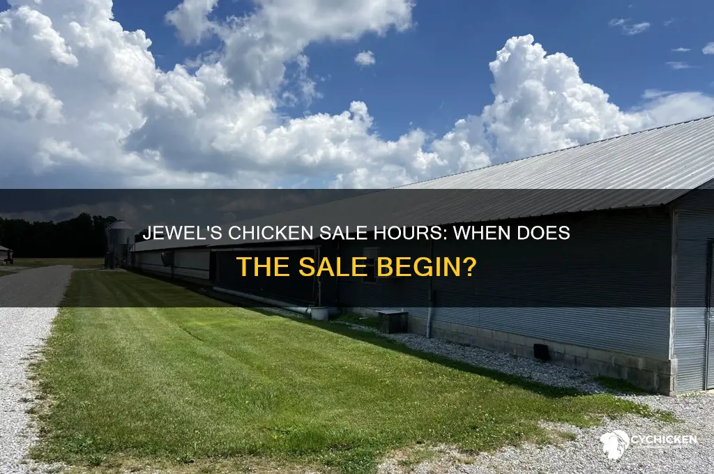 what time does jewel start selling chicken