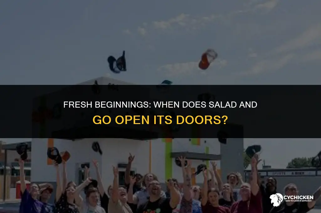 what time does salad and go open