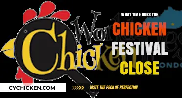Chicken Festival Closing Time: When Does the Fun End?