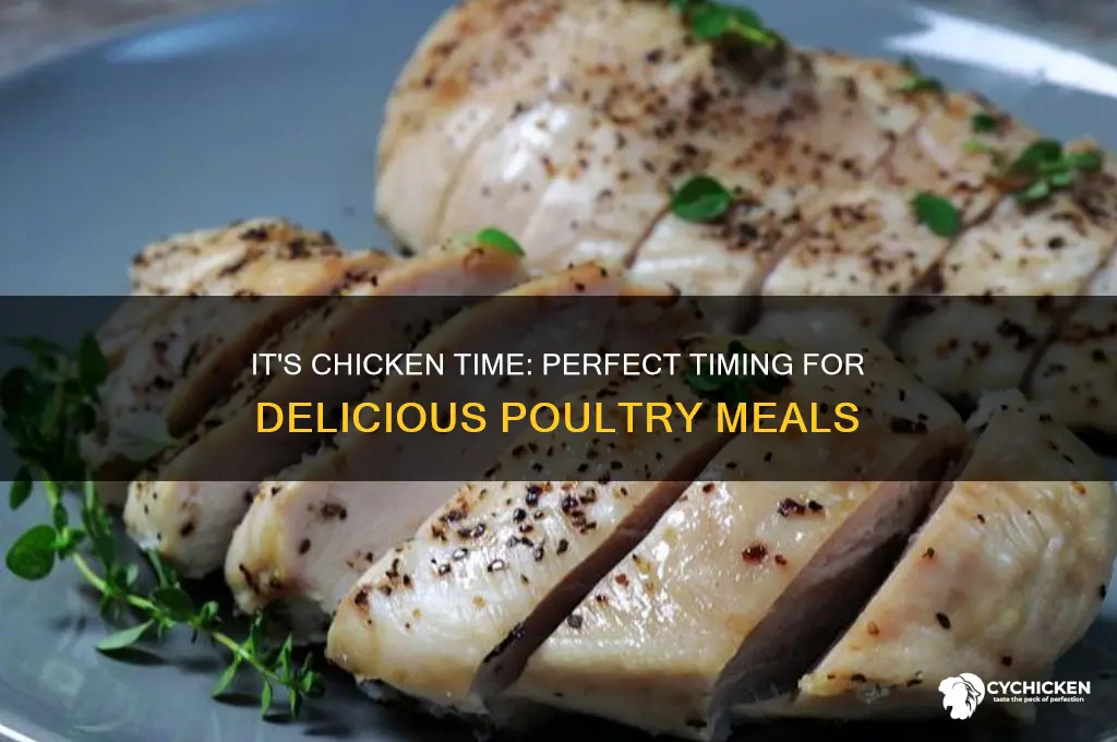 what time is it its chicken time