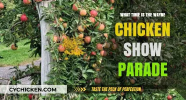 Wayne Chicken Show Parade: Start Time and Route Guide
